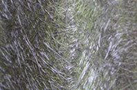 Osmington fibreglass roof work